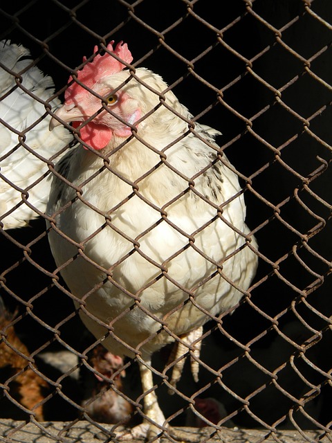 幕后信号 幕后信号