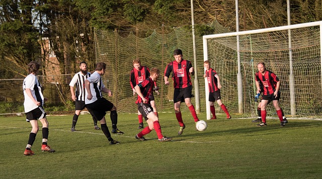 篮板能力也 篮板能力也