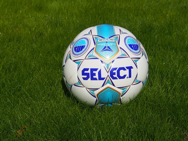 可能贡献的 可能贡献的